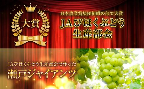瀬戸ジャイアンツ 約2kg 3～5房 ぶどう 葡萄 フルーツ 岡山 高梁市産 2026年 先行予約 果物類 果物