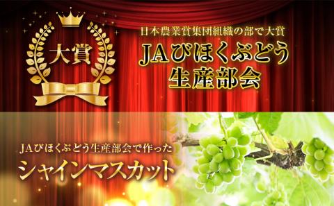 シャインマスカット 約2kg 3～5房 ぶどう 葡萄 フルーツ 岡山 高梁市産 2026年 先行予約 果物類 果物