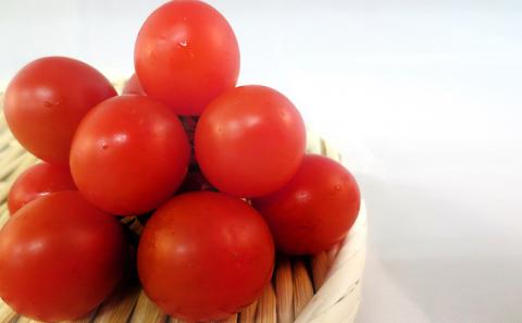 2026年 先行予約 ミニ トマト 150g 10パック とまと 岡山 高梁市産 有機 野菜