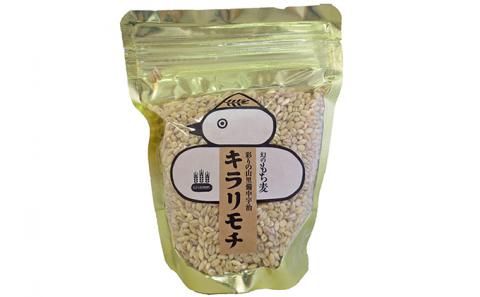 宇治町産　もち麦商品詰め合わせ-A