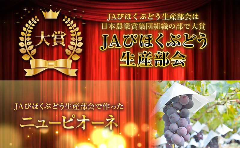 ニュー ピオーネ 約2kg 3～5房 ぶどう 葡萄 フルーツ 岡山 高梁市産 2026年 先行予約 果物類 果物