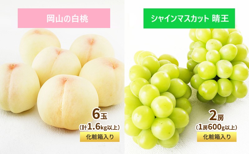 フルーツ 定期便 2026年 先行予約 フルーツ王国 岡山 ベストセレクト 2回コース 桃 もも 葡萄 ぶどう マスカット 岡山県産 国産 果物 セット ギフト