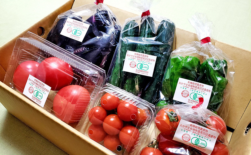 2026年 早期受付 夏野菜 詰め合わせ おかやま 有機無農薬 農産物 野菜 セット
