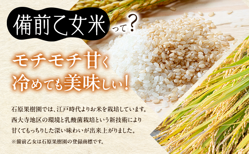 米 令和7年産 石原果樹園の備前乙女米 玄米 10kg×1袋 ※11月上旬～順次発送予定 ライス お米 ライス 乳酸菌栽培 岡山県 おにぎり お弁当