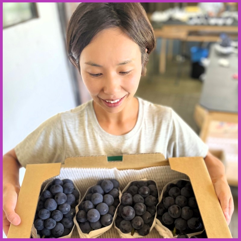 2026年 早期受付 ぶどう ニューピオーネ 3～4房 約2kg 岡山県高梁市産 うめづぶどう園 化粧箱入り 葡萄 ブドウ 大粒 贈答用