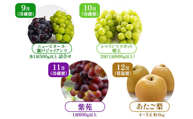 ぶどう 梨 定期便 2025年 先行予約 フルーツ王国 岡山を堪能 4回コース 秋・冬物語 葡萄 ぶどう 梨 なし 岡山県産 国産 果物 セット ギフト