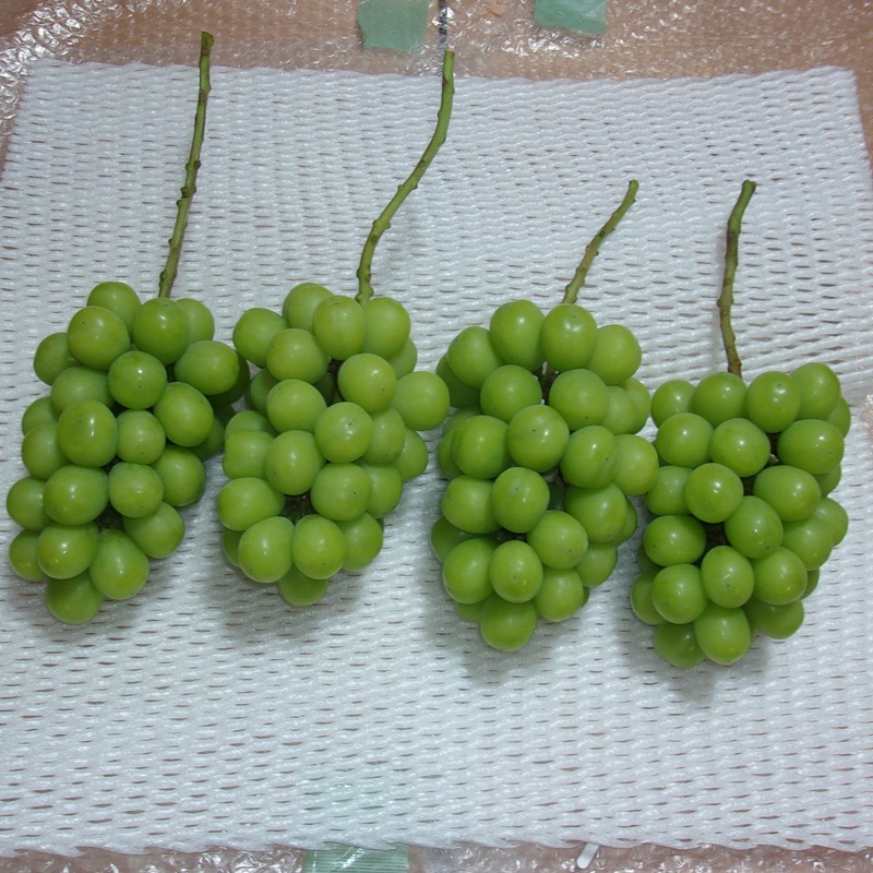 ぶどう 先行予約 訳あり シャインマスカット 約2kg(3～5房) ブドウ 葡萄 岡山県産 国産 フルーツ 果物