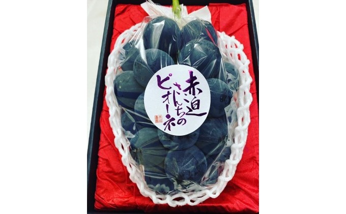 黒 ニュー ピオーネ 1房 650g以上 葡萄 ぶどう フルーツ 岡山 高梁市産 赤迫農園 2026年 先行予約 果物 デザート 愛情 最高 新鮮 桐箱入り 美味しい