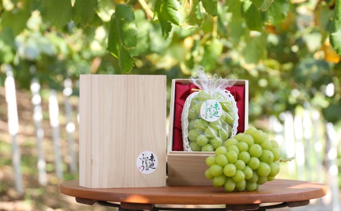 桐箱入 シャイン マスカット 1房 750g以上 葡萄 ぶどう フルーツ 岡山 高梁市産 赤迫農園 2026年 先行予約 果物 デザート 愛情 最高 新鮮 桐箱入り 美味しい