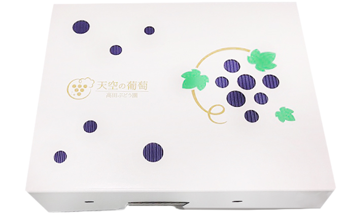  ぶどう 2026年度 早期受付 天空の葡萄(登録商標) ニュー ピオーネ 2房 1.2kg以上 1箱 美味しい笑顔をお約束 葡萄 フルーツ 岡山 高梁市産