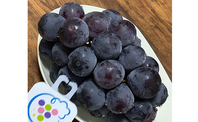 ぶどう 2026年度 早期受付 天空の葡萄(登録商標) ニュー ピオーネ 3～4房 2kg以上 1箱 美味しい笑顔をお約束 葡萄 フルーツ 岡山 高梁市産