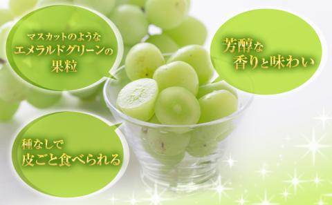 シャインマスカット 約2kg 3～5房 ぶどう 葡萄 フルーツ 岡山 高梁市産 2026年 先行予約 果物類 果物