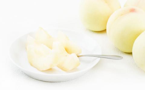 フルーツ 定期便 2026年 先行予約 フルーツ王国 岡山を堪能 5回コース 桃 もも 葡萄 ぶどう 梨 なし岡山県産 国産 果物 セット ギフト