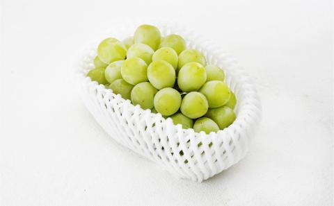 フルーツ 定期便 2026年 先行予約 フルーツ王国 岡山の果物 5回コース 夏～冬物語 桃 もも 葡萄 ぶどう 梨 なし岡山県産 国産 果物 セット ギフト