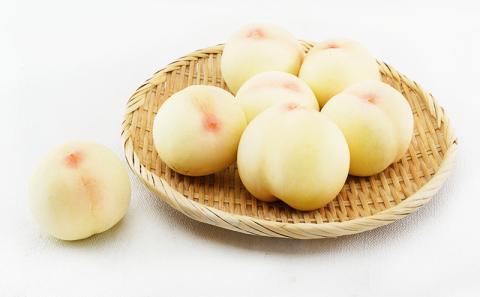 桃 ぶどう 梨 定期便 2025年 先行予約 フルーツ王国 岡山を堪能 6回コース 夏・秋・冬物語 白桃 フルーツ 果物 岡山