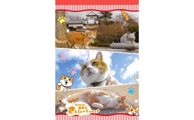 さんじゅーろーグッズセット