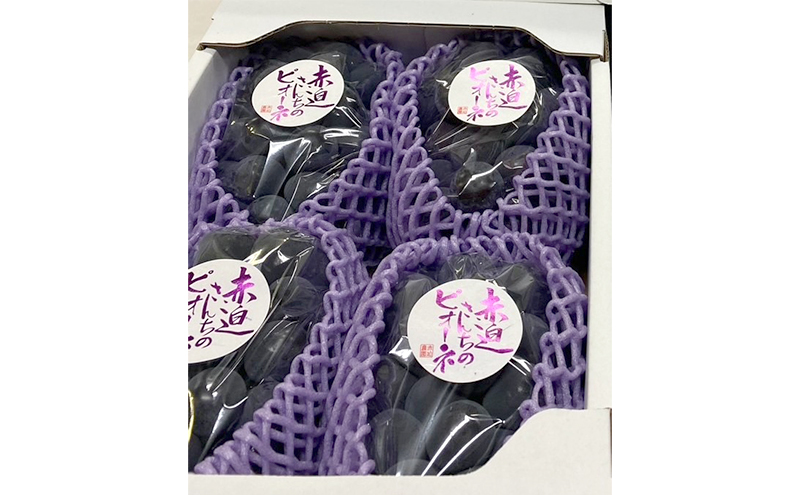ぶどう ニュー ピオーネ 2kg 3房～4房 1房 約500g～600g 葡萄 フルーツ 岡山 高梁市産 赤迫農園 2026年 先行予約