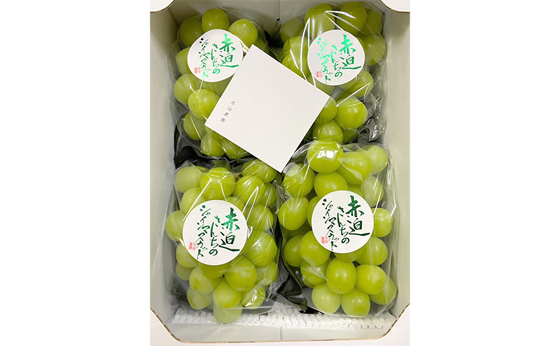 ぶどう シャインマスカット 2kg 3房～4房 1房 約500g～600g 葡萄 フルーツ 岡山 高梁市産 赤迫農園 2026年 先行予約