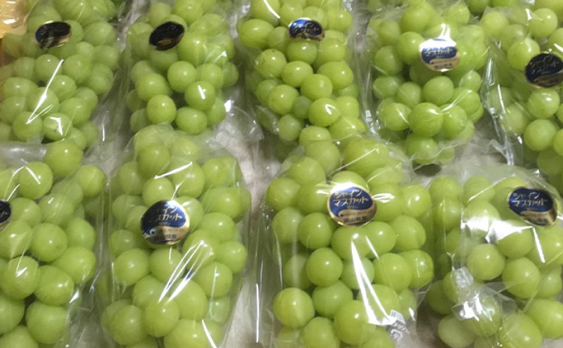 シャインマスカット 2kg 3房～5房 葡萄 フルーツ 岡山 高梁市産 ぜきお農園 ぶどうclub 2026年 先行予約