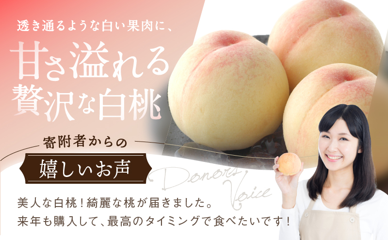 桃 2026年 先行予約 白桃 5玉 合計約1.3kg もも モモ 岡山県産 国産 フルーツ 果物 ギフト