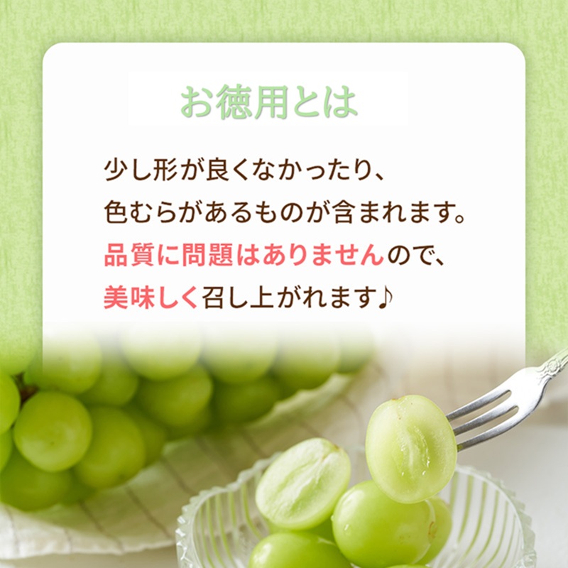 2026年 早期受付 ぶどう ギフトお徳用 シャインマスカット 2kg以上(3～5房) 数量限定 岡山県 高梁市産