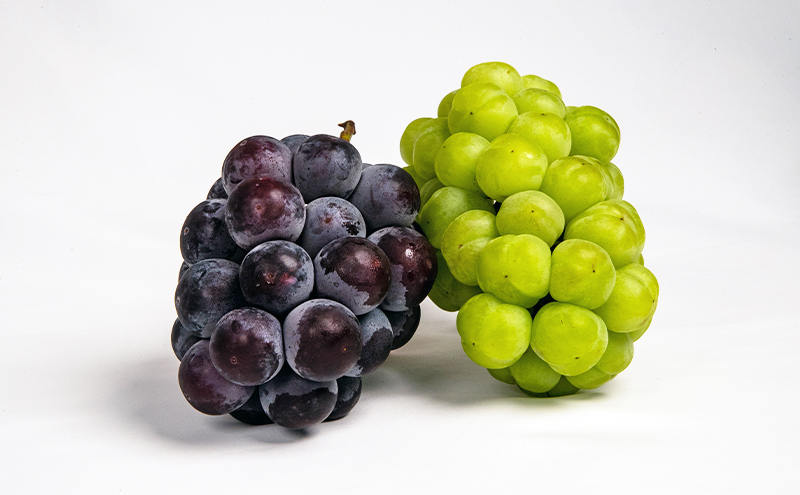 ぶどう 梨 定期便 2025年 先行予約 フルーツ王国 岡山を堪能 4回コース 秋・冬物語 葡萄 ぶどう 梨 なし 岡山県産 国産 果物 セット ギフト