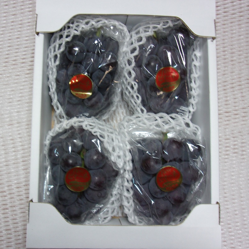 ぶどう 先行予約 訳あり ピオーネ 約2kg(3～5房) ブドウ 葡萄 岡山県産 国産 フルーツ 果物