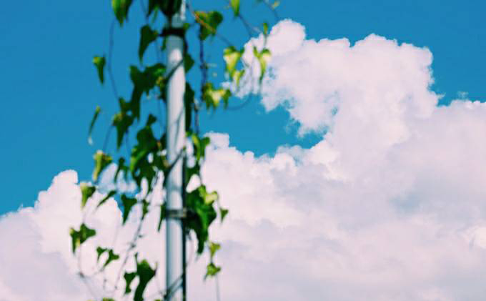 アイスコーヒー 無糖 自家焙煎 コーヒー 1000ml×4本