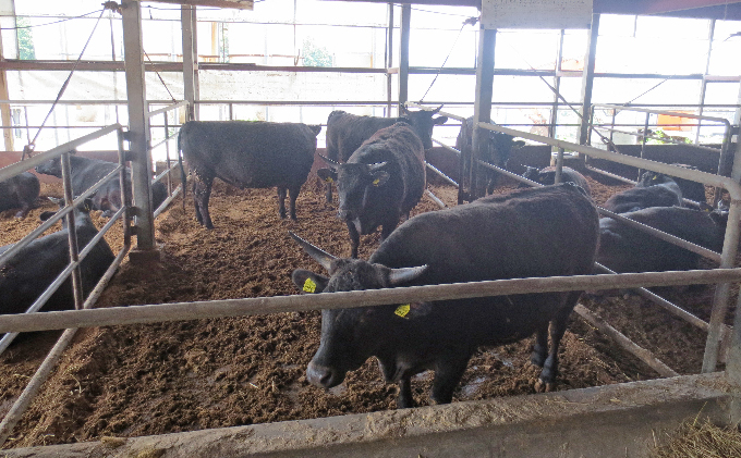 ［農林水産大臣賞受賞］備中牛 和牛焼肉セット 1.6kg