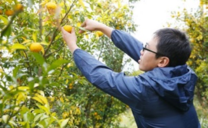 ニャンとも可愛い柚子マーマレード【柚子ニャーニャレード2個セット】 柚子 マーマレード 柚子茶 吹屋