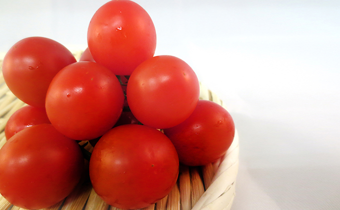 2026年 先行予約 ミニトマト バラ 約2kg 岡山 高梁市産 とまと 有機 野菜