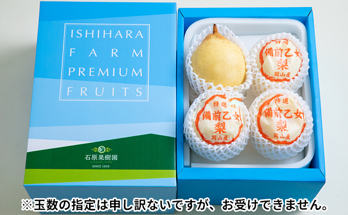 梨 2025年 先行予約 備前乙女梨（鴨梨） 3～4玉 合計約2kg【11月下旬～12月中旬頃発送】  ナシ なし 岡山県産 国産 フルーツ 果物 ギフト 石原果樹園