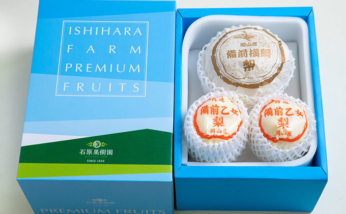 梨 2025年 先行予約 備前横綱梨（あたご梨） 1玉( 1～1.4kg)・備前乙女梨（鴨梨） 2～3玉 詰合せ 合計約2.0kg【11月下旬～12月中旬頃発送】 岡山県産 フルーツ ギフト 石原果樹園