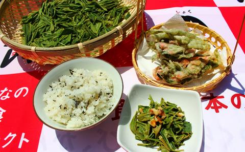 びほくの番茶　500g×2袋