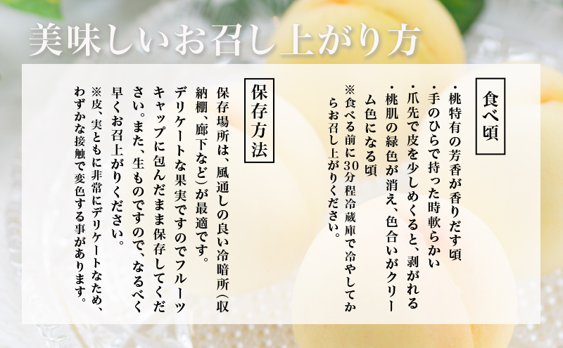 桃 2026年 先行予約 岡山 白桃 8玉（合計1.7kg以上）化粧箱入り もも モモ 岡山県産 国産 フルーツ 果物 ギフト