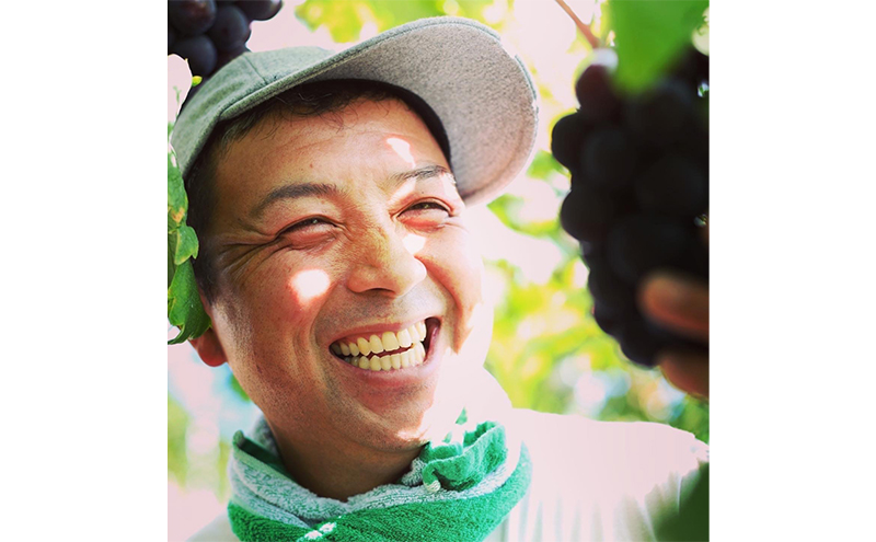 ぶどう ニュー ピオーネ 2kg 3房～4房 1房 約500g～600g 葡萄 フルーツ 岡山 高梁市産 赤迫農園 2026年 先行予約