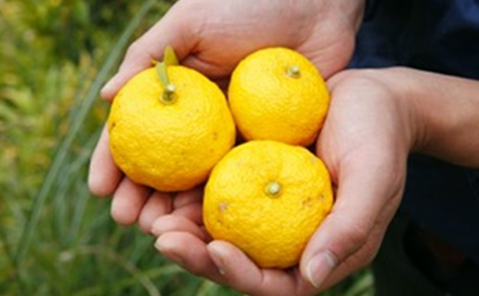 柚子の香り広がる赤柚子胡椒【吹屋の紅だるま4個セット】 柚子 胡椒 調味料 吹屋