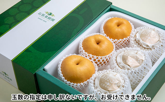 梨 2025年 先行予約 あたご梨 4～9玉 合計約4.5kg 贈答箱【11月下旬～12月中旬頃発送】 ナシ なし 岡山県産 国産 フルーツ 果物 ギフト 石原果樹園
