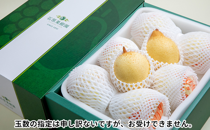 梨 2025年 先行予約 鴨梨（ヤーリー）6～10玉 約4kg 贈答箱【11月下旬～12月中旬頃発送】 ナシ なし 岡山県産 国産 フルーツ 果物 ギフト 石原果樹園
