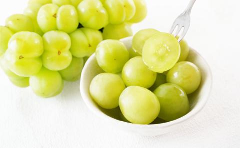 フルーツ 定期便 2026年 先行予約 フルーツ王国 岡山を堪能 5回コース 桃 もも 葡萄 ぶどう 梨 なし岡山県産 国産 果物 セット ギフト