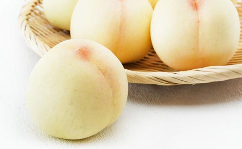 フルーツ 定期便 2026年 先行予約 岡山 の 桃 食べ比べ 定期便 3回コース もも モモ 岡山県産 国産 フルーツ 果物 セット ギフト