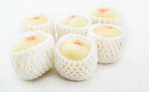 フルーツ 定期便 2026年 先行予約 フルーツ王国 岡山の果物 5回コース 夏～冬物語 桃 もも 葡萄 ぶどう 梨 なし岡山県産 国産 果物 セット ギフト