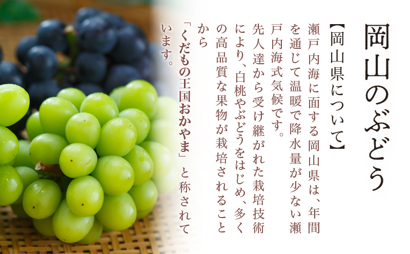 桃 ぶどう 2026年 先行予約 果物 詰合せ 白桃 2玉（1玉220g以上）ニューピオーネ 2房（1房480g以上）化粧箱入り もも 葡萄 岡山県産 国産 フルーツ 果物 ギフト