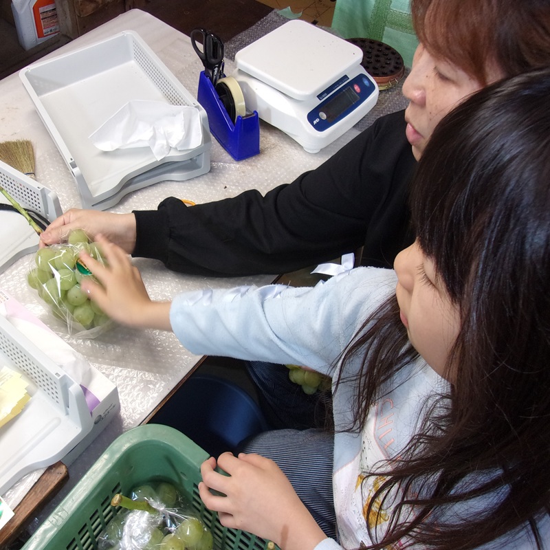ぶどう 先行予約 訳あり 翠峰 約2kg(3～5房) ブドウ 葡萄 岡山県産 国産 フルーツ 果物