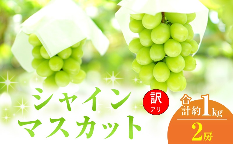 【2026年 先行予約】【訳あり品】 シャインマスカット 2房 合計約1kg 常温配送 ぶどう 葡萄 フルーツ 果物 岡山 岡山のぶどう 岡山の果物 食後 デザート 産地直送 大粒 皮ごと 種無し