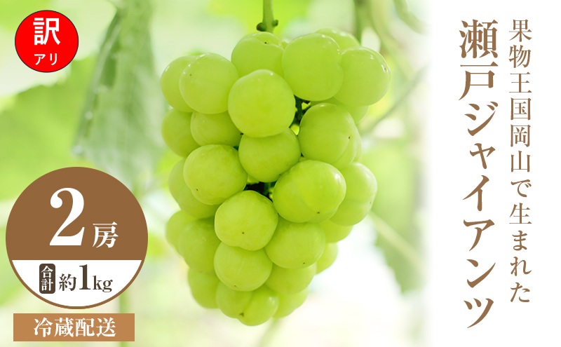 【2026年 先行予約】【訳あり品】 瀬戸ジャイアンツ 2房 合計約1kg 冷蔵配送 ぶどう 葡萄 フルーツ 果物 岡山 岡山のぶどう 食後 デザート 産地直送 皮ごと 酸味が少ない 爽やか 甘い