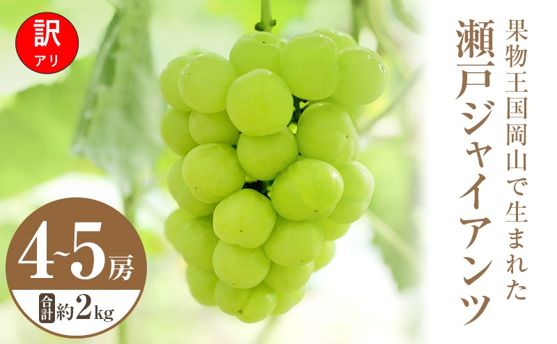 【2026年 先行予約】【訳あり品】 瀬戸ジャイアンツ 4～5房 合計約2kg 常温配送 ぶどう 葡萄 フルーツ 果物 岡山 岡山のぶどう 食後 デザート 産地直送 皮ごと 酸味が少ない 爽やか 甘い