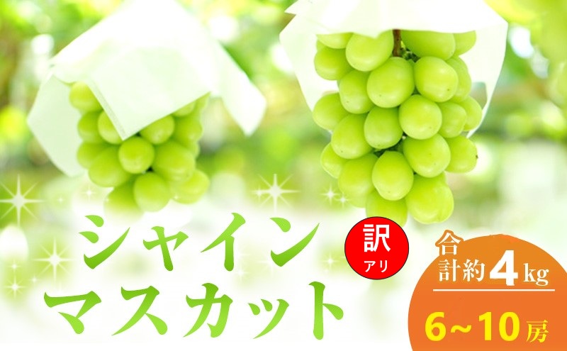 【2026年 先行予約】【訳あり品】シャインマスカット 6～10房 合計約4kg 常温配送 ぶどう 葡萄 フルーツ 果物 岡山 高梁市
