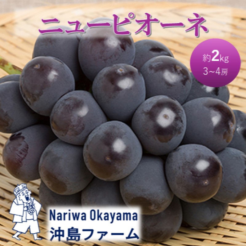 2026年 早期受付 ぶどう ピオーネ 約2kg（3～4房）岡山県高梁市産 沖島ファーム 化粧箱入り 葡萄 ブドウ 贈答用