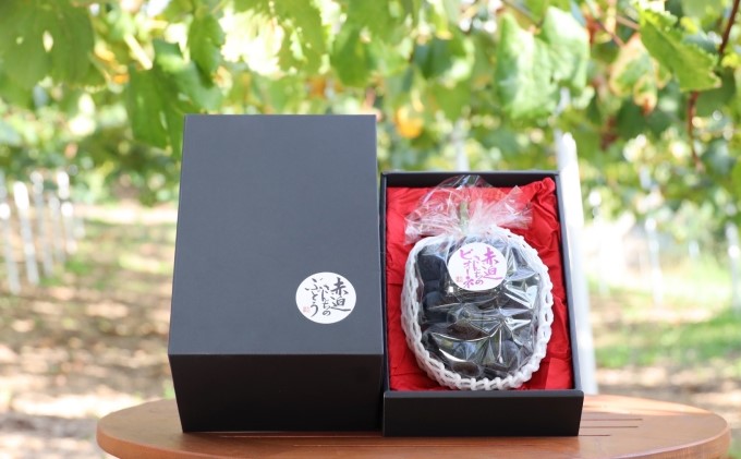 黒 ニュー ピオーネ 1房 650g以上 葡萄 ぶどう フルーツ 岡山 高梁市産 赤迫農園 2026年 先行予約 果物 デザート 愛情 最高 新鮮 桐箱入り 美味しい